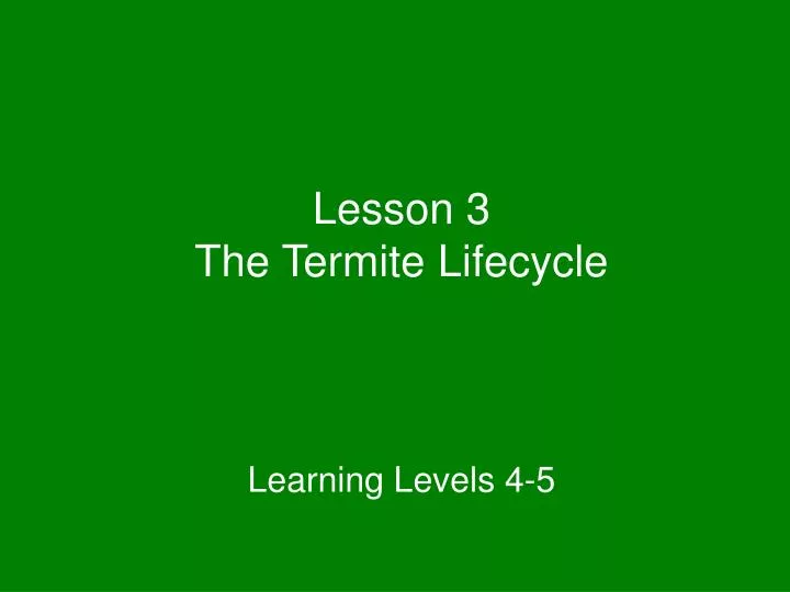 lesson 3 the termite lifecycle