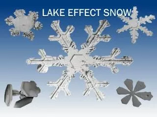 Lake Effect Snow