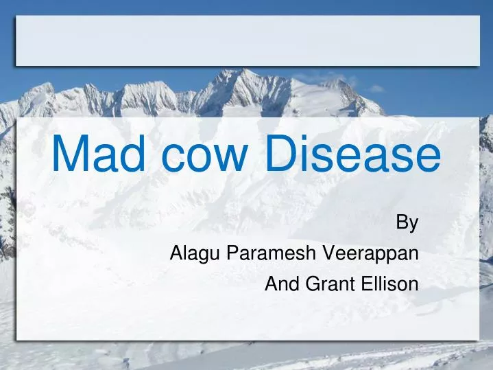mad cow disease