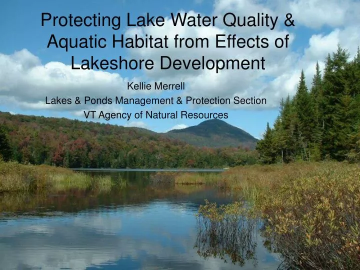 protecting lake water quality aquatic habitat from effects of lakeshore development