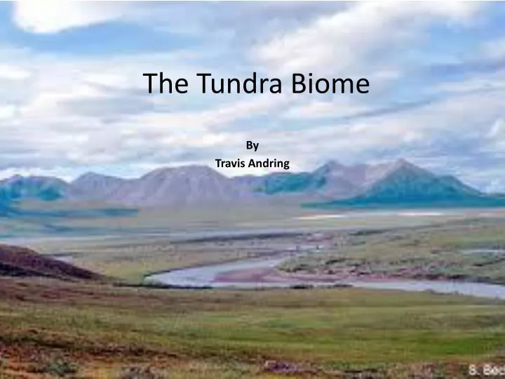 the tundra biome