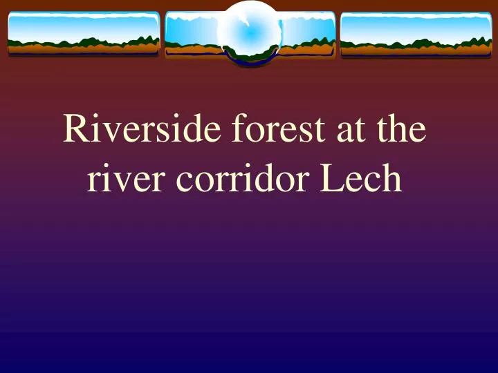 riverside forest at the river corridor lech