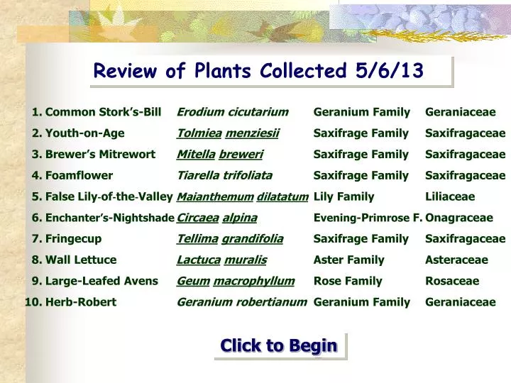 review of plants collected 5 6 13