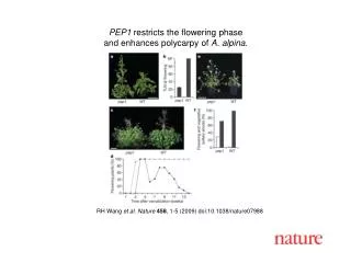 RH Wang et al. Nature 458 , 1-5 (2009) doi:10.1038/nature07988