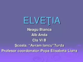 elve ia