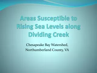 Areas Susceptible to Rising Sea Levels along Dividing Creek