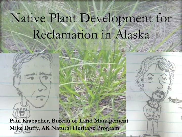 native plant development for reclamation in alaska