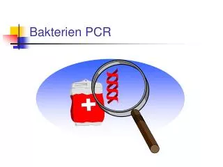 Bakterien PCR