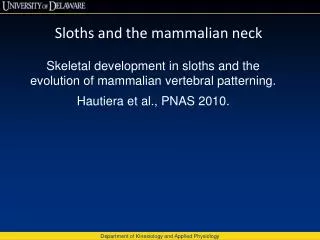 Sloths and the mammalian neck