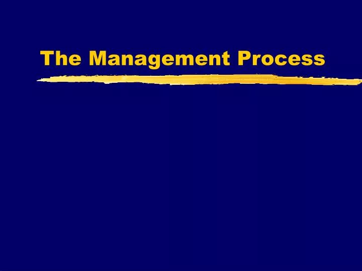 the management process