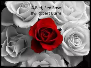 A Red, Red Rose By: Robert Burns