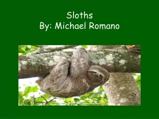 Sloths By: Michael Romano
