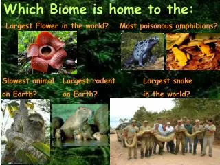 Which Biome is home to the: