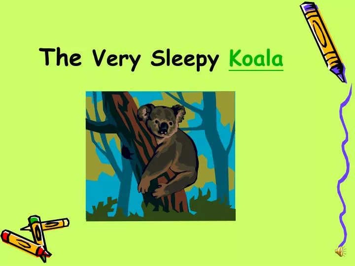 the very sleepy koala