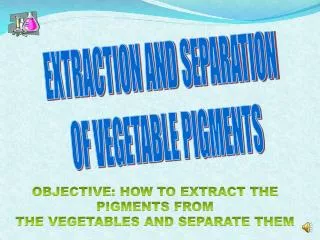 EXTRACTION AND SEPARATION OF VEGETABLE PIGMENTS