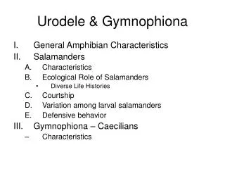 Urodele &amp; Gymnophiona
