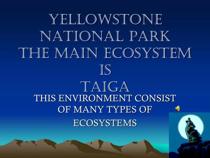 yellowstone national park the main ecosystem is taiga