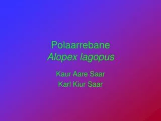 polaarrebane alopex lagopus