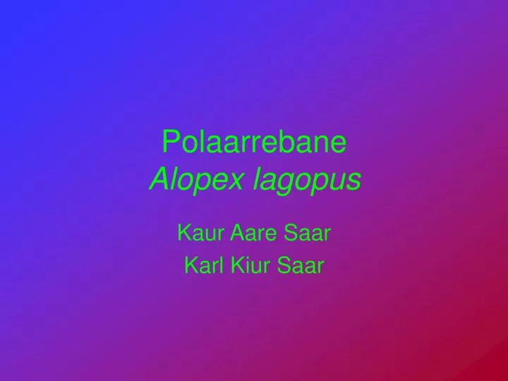 polaarrebane alopex lagopus