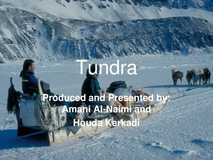 tundra