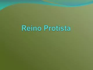reino protista