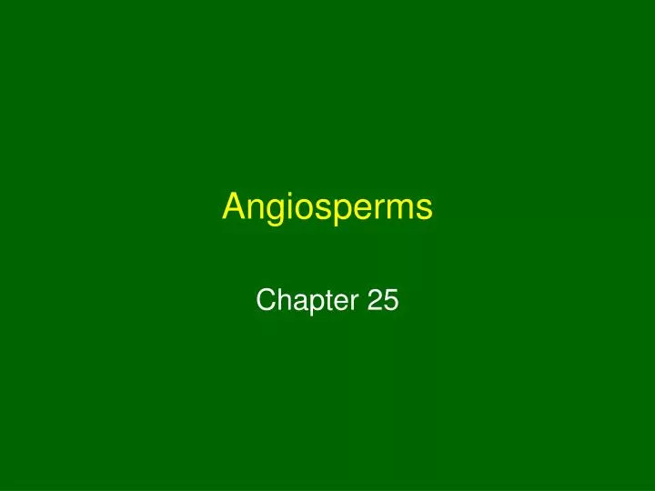 angiosperms