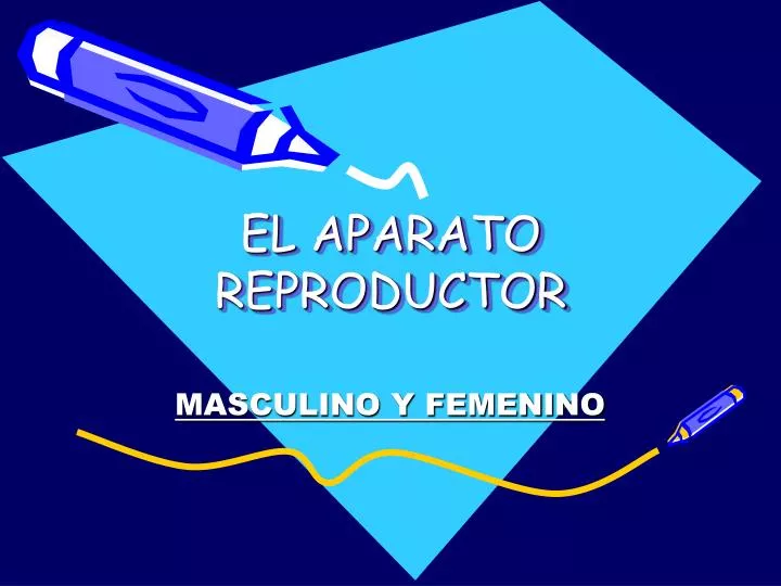 el aparato reproductor