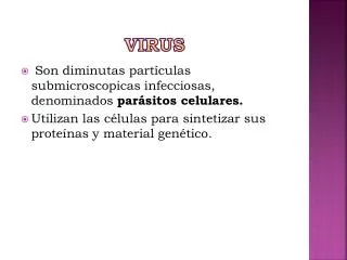 virus
