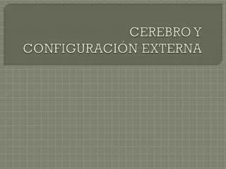 cerebro y configuraci n externa