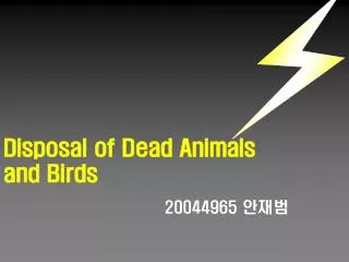 Disposal of Dead Animals and Birds