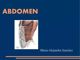 abdomen