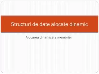 structuri de date alocate dinamic