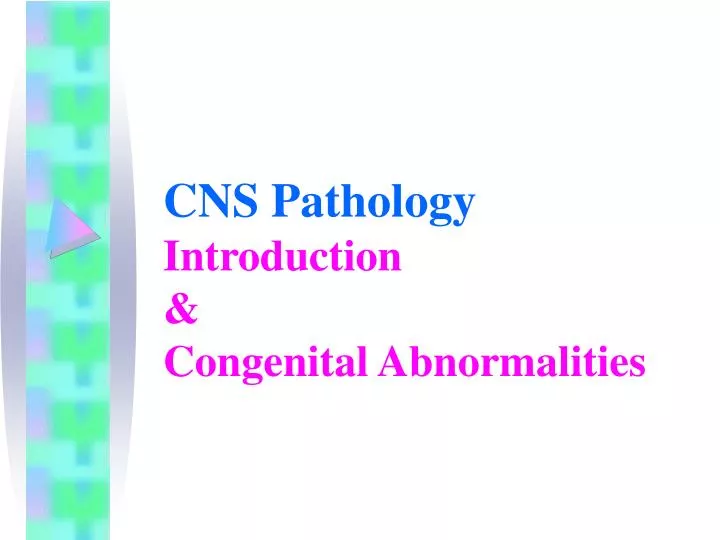 cns pathology introduction congenital abnormalities