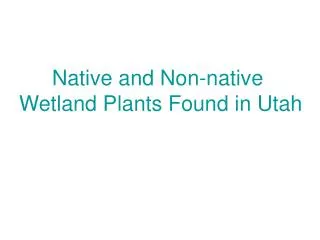 Native and Non-native Wetland Plants Found in Utah