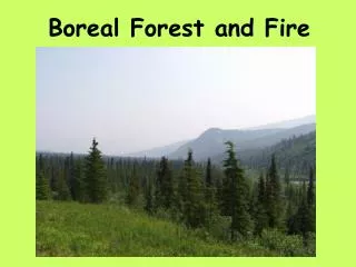 Boreal Forest and Fire