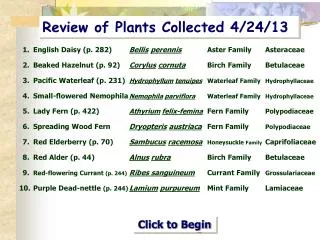 Review of Plants Collected 4/24/13