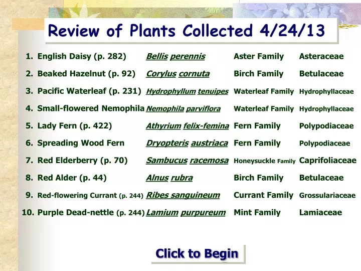 review of plants collected 4 24 13