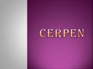 cerpen