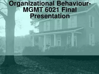 Organizational Behaviour- MGMT 6021 Final Presentation