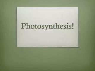 Photosynthesis!