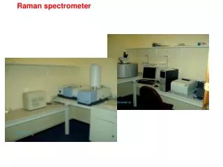 Raman spectrometer