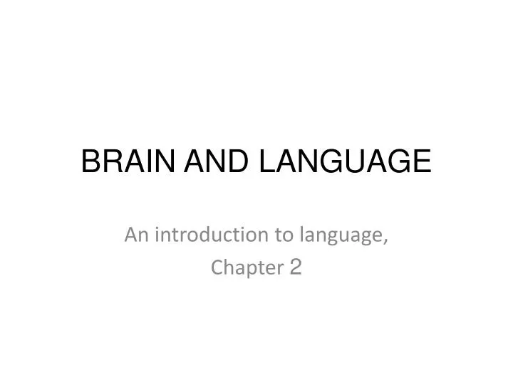 brain and language
