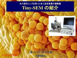 tiny sem