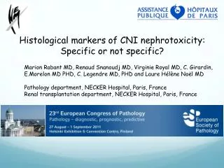 Histological markers of CNI nephrotoxicity : Specific or not specific ?