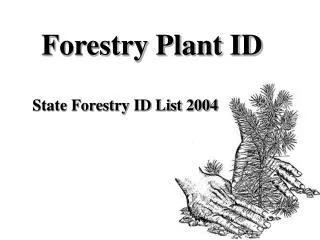 Forestry Plant ID