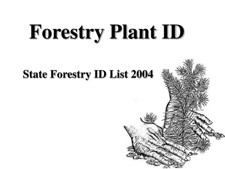 forestry plant id