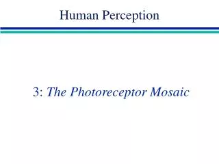 3: The Photoreceptor Mosaic