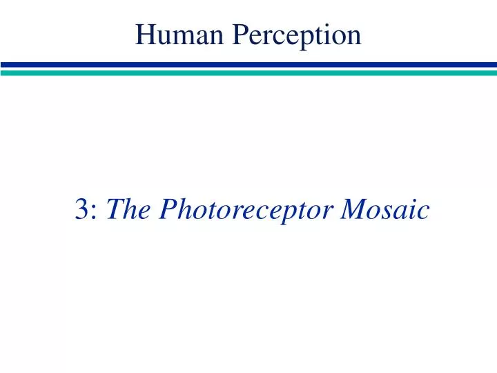 3 the photoreceptor mosaic