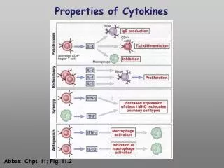 Properties of Cytokines