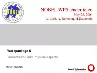 NOBEL WP5 leader telco May 28, 2004 A. Lord, A. Berntson, H.Haunstein